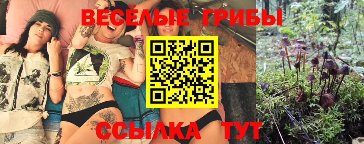 Галлюциногенные грибы MAGIC MUSHROOMS  Галлюциногенные грибы Cubensis  Вход с VPN  Киселёвск 