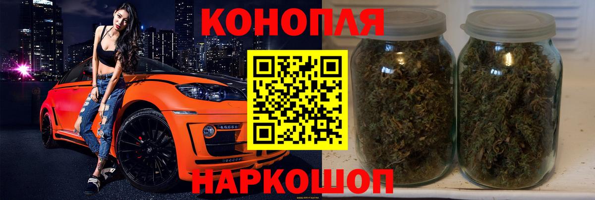 Канабис OG Kush Киселёвск